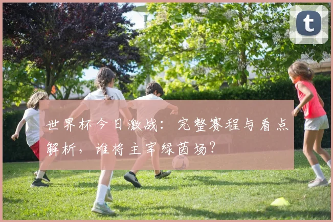 世界杯今日激战:完整赛程与看点解析,谁将主宰绿茵场?