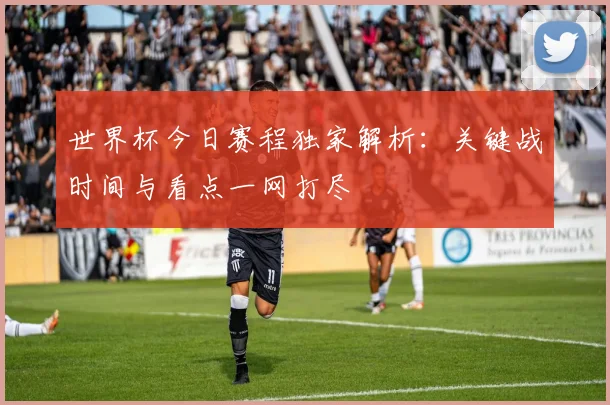 世界杯今日赛程独家解析:关键战时间与看点一网打尽